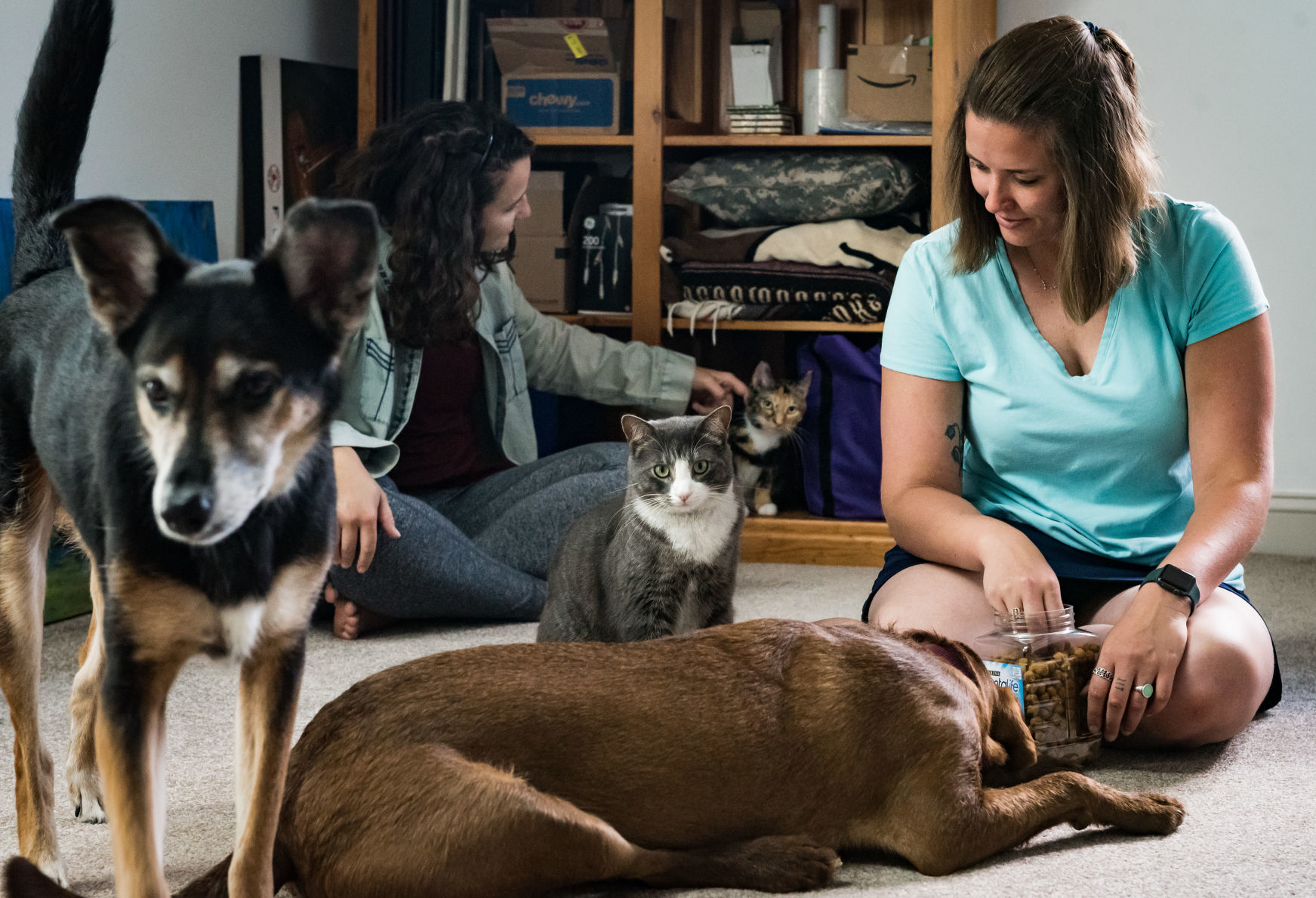 Cats Rescued From House Fire
